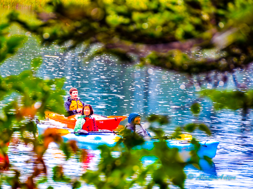 Kenai Fjords Kayaking